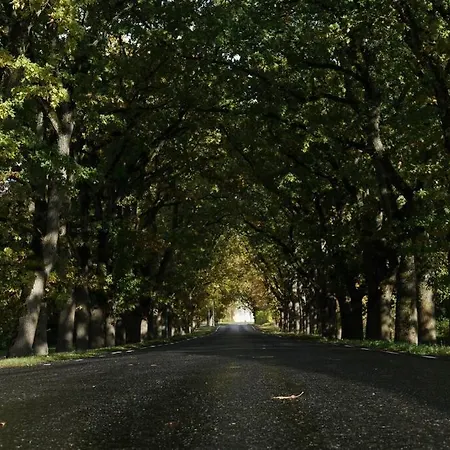 Appartamento Cozy In