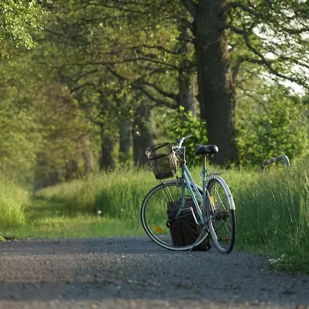 Cozy In Appartamento