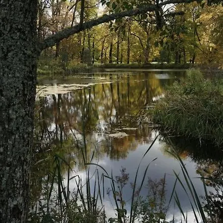 Cozy In Appartement *