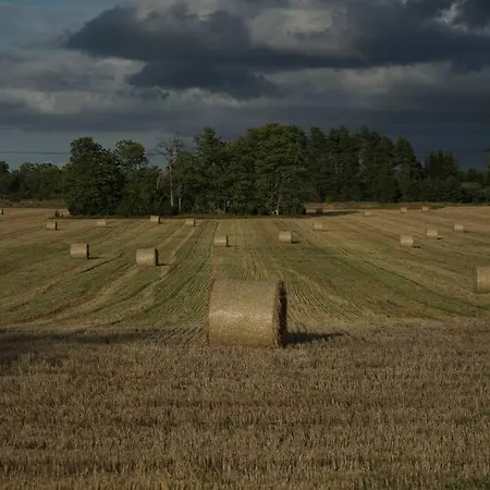Cozy In Appartamento Suuremõisa