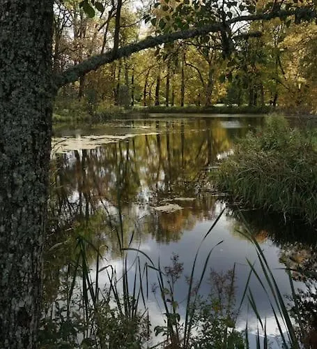 Cozy In Apartament *