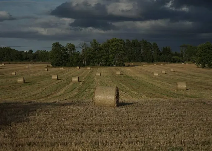 Cozy In Apartament Suuremõisa